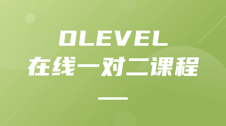 O-LEVEL在线一对二课程